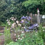 Instagram-Highlight: Garten 2025