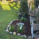 Instagram-Highlight: Garten 2026