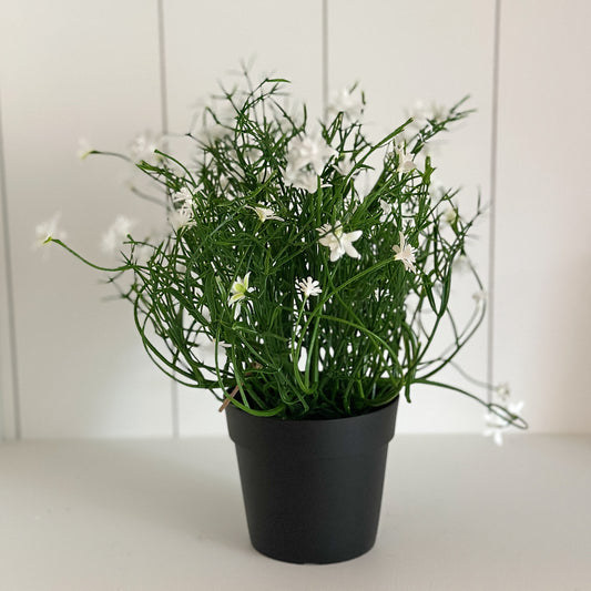 Blüten Busch Topf "Fleur Blanche" künstlich weiß 24cm - Wohnen auf dem Land