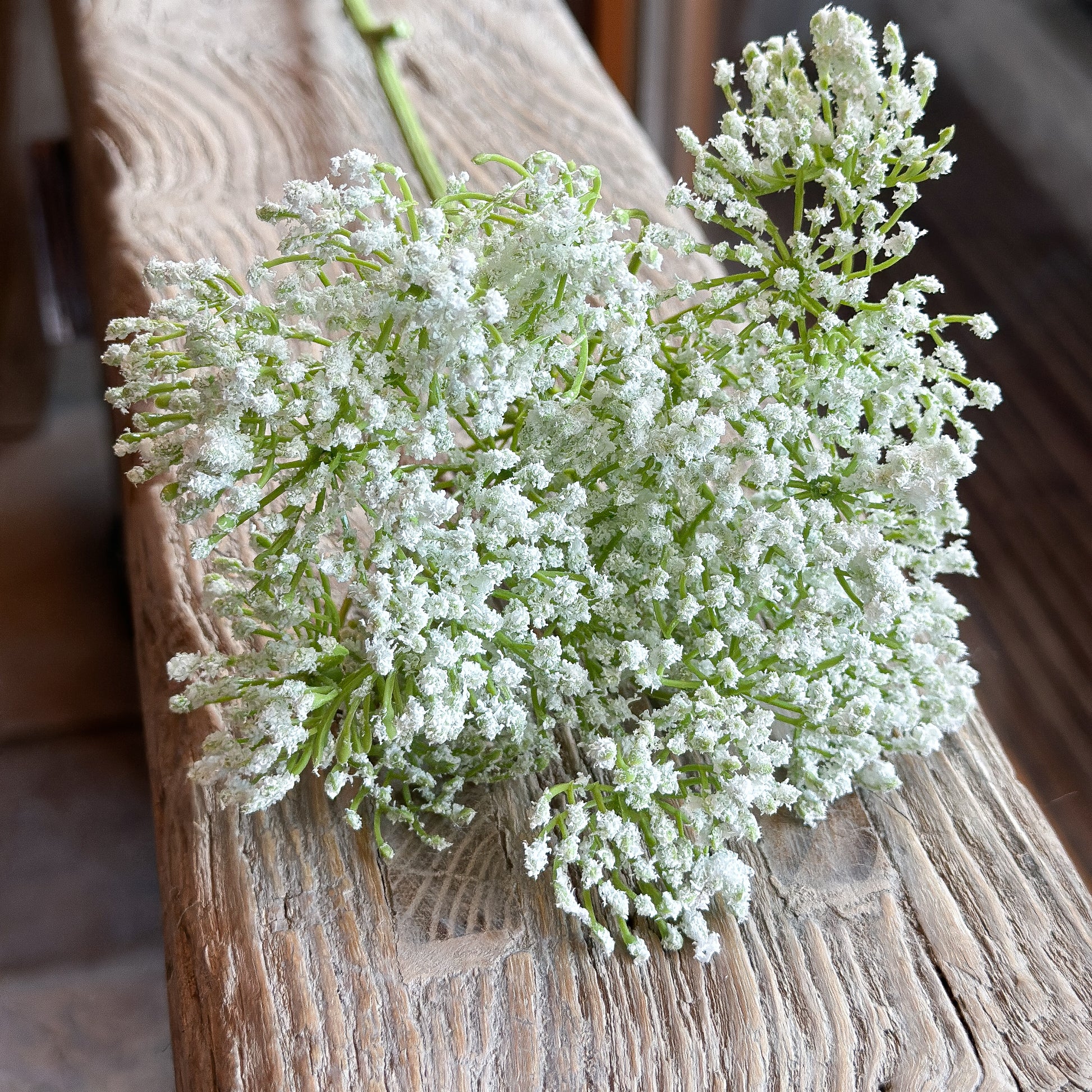 Wiesenblume Zweig Stiel "Dill" künstlich weiß 72cm - Wohnen auf dem Land