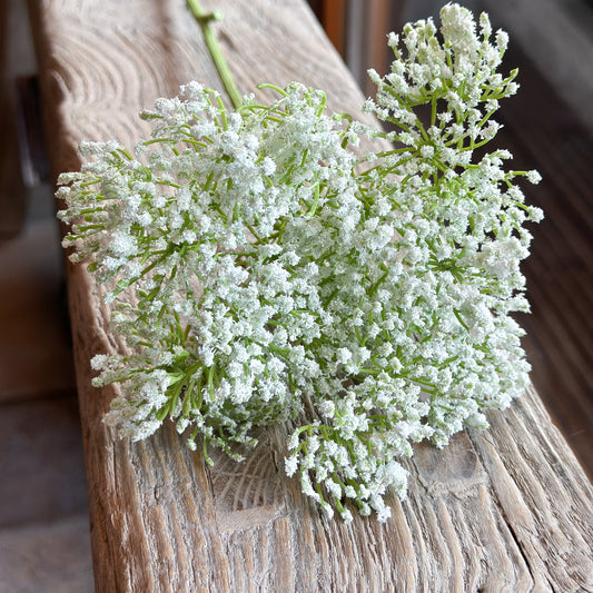 Wiesenblume Zweig Stiel "Dill" künstlich weiß 72cm - Wohnen auf dem Land