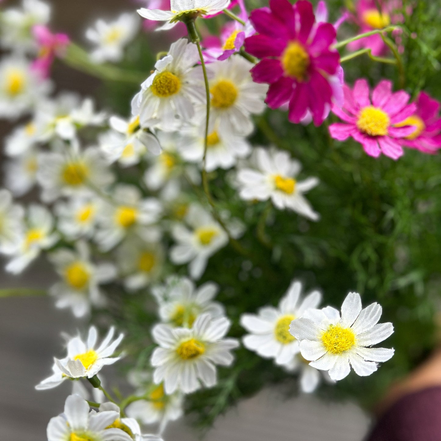 Künstlicher Blumenstrauß "Daisy Love" von Wohnen auf dem Land, 61 cm, in Weiß und Creme, realistische Blüten, dekoratives Arrangement