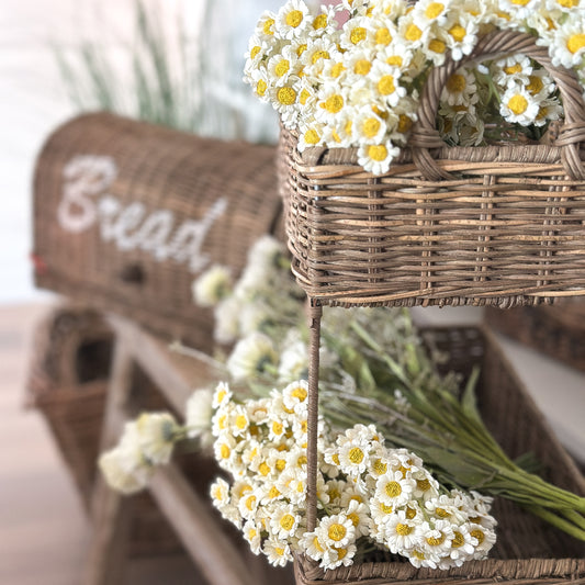 Blume Strauß "Gänseblümchen" künstlich weiß 27cm - Wohnen auf dem Land