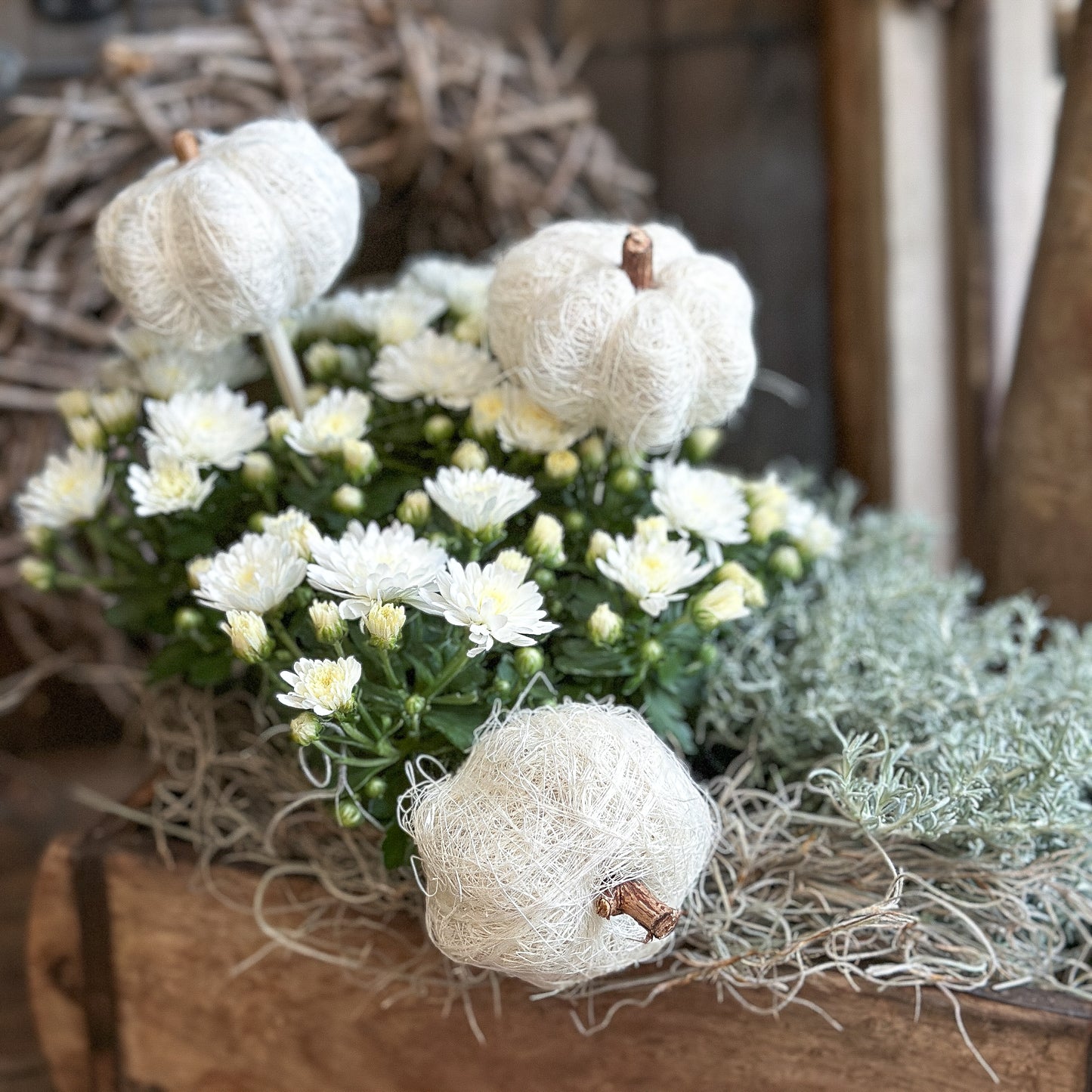 Deko Kürbisse zum Stecken "Kürbis Trio" Sisal creme weiß 3er Set - Wohnen auf dem Land