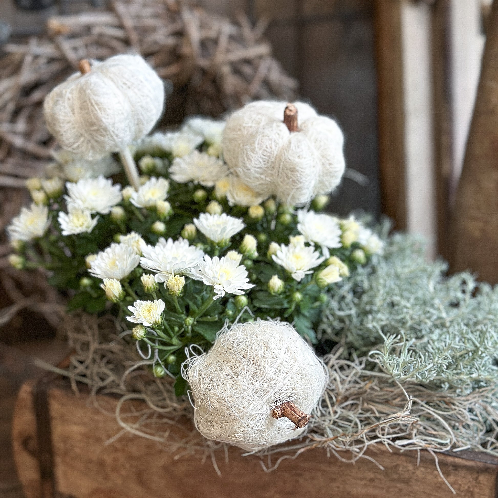 Deko Kürbisse zum Stecken "Kürbis Trio" Sisal creme weiß 3er Set - Wohnen auf dem Land