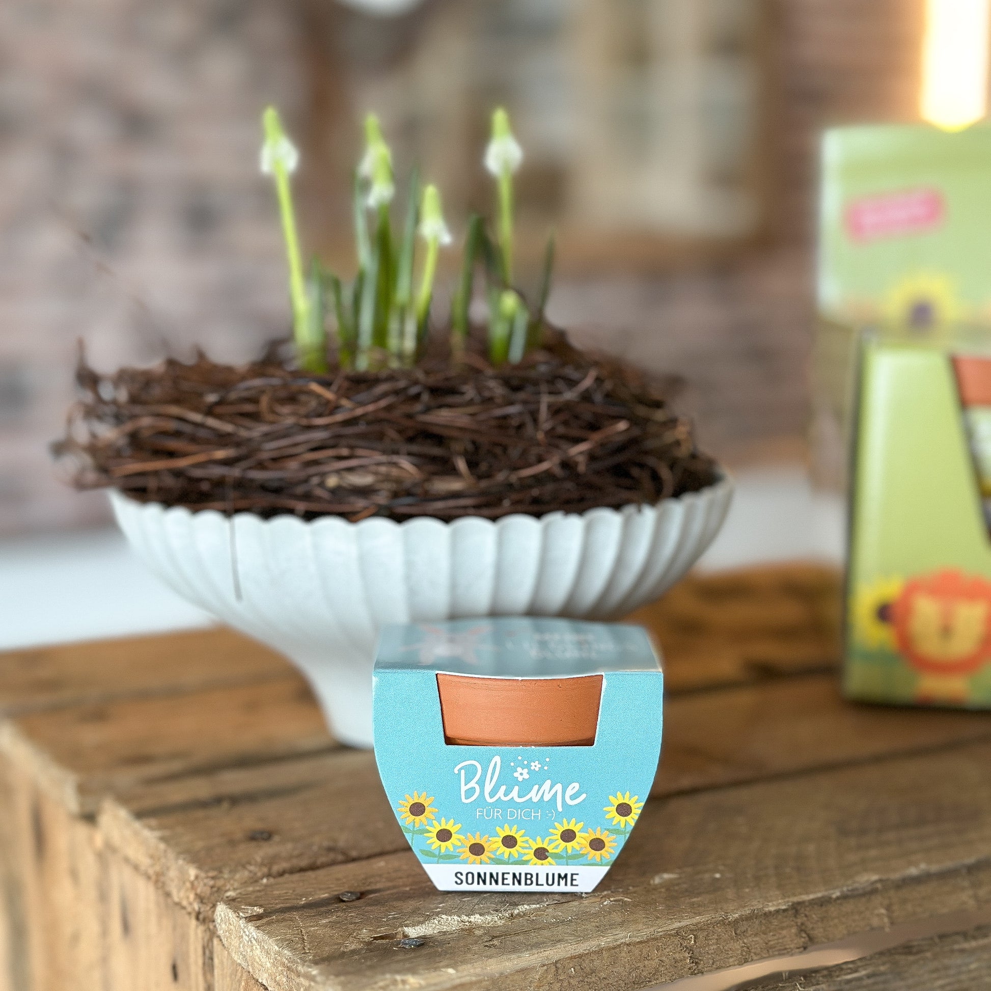 Frühlingsgruß Blumentopf “Blume für Dich :-)” Geschenk-Set 4 Varianten - Wohnen auf dem Land