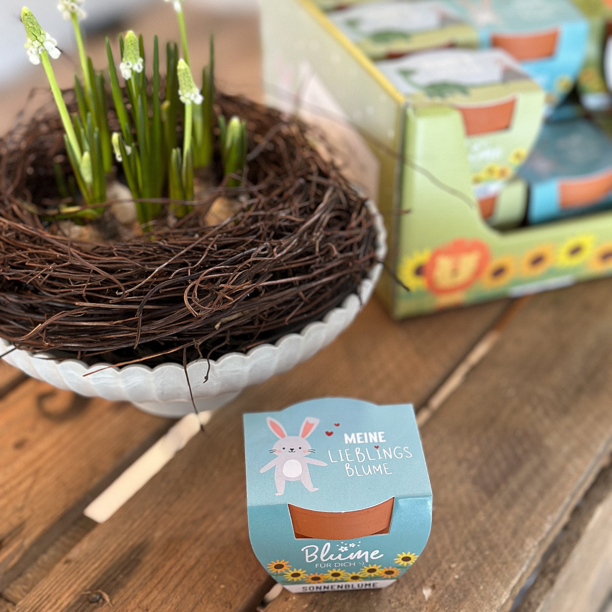 Frühlingsgruß Blumentopf “Blume für Dich :-)” Geschenk-Set 4 Varianten - Wohnen auf dem Land