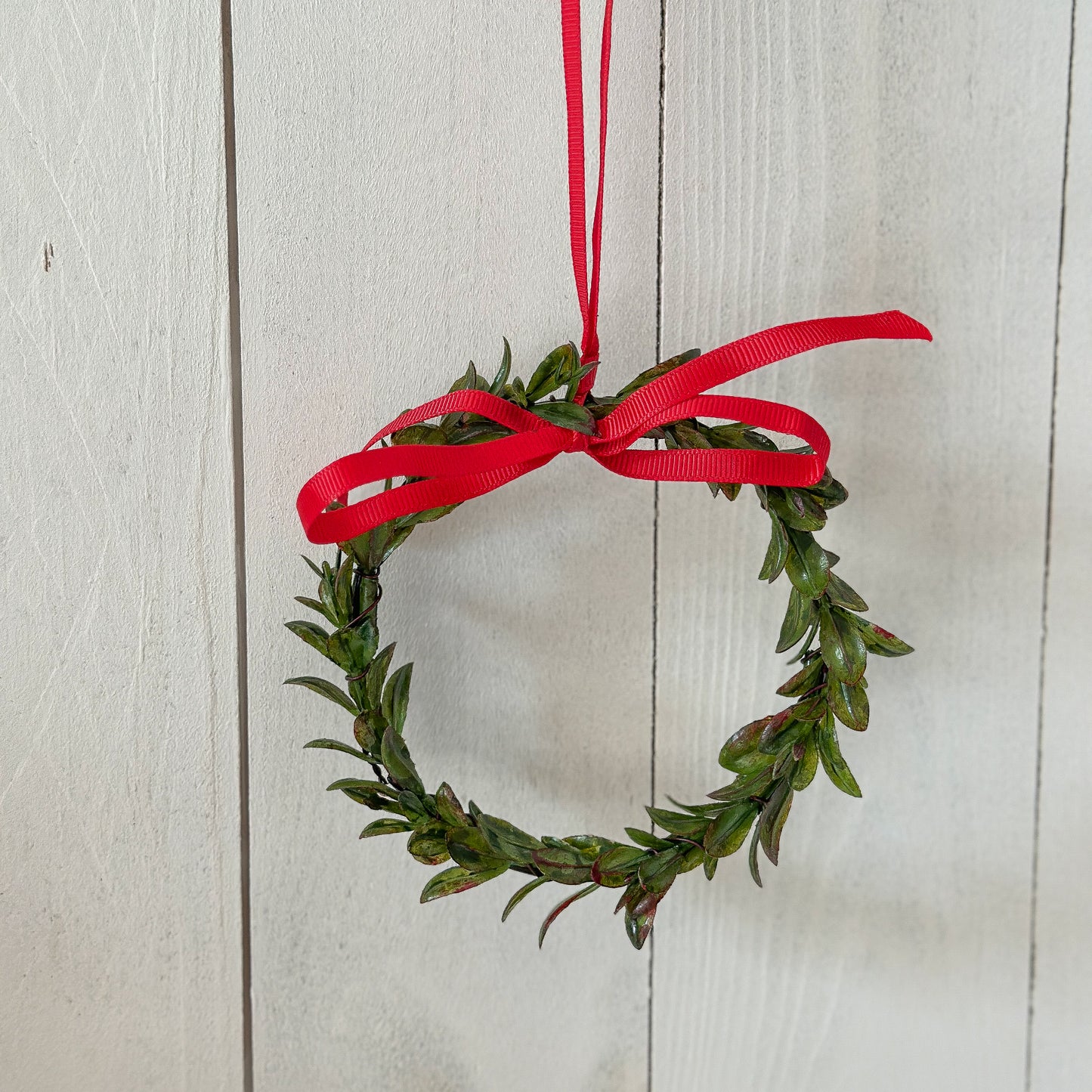 Kranz Blätter "Mini Mistel" mit roter Schleife grün 12cm - Wohnen auf dem Land