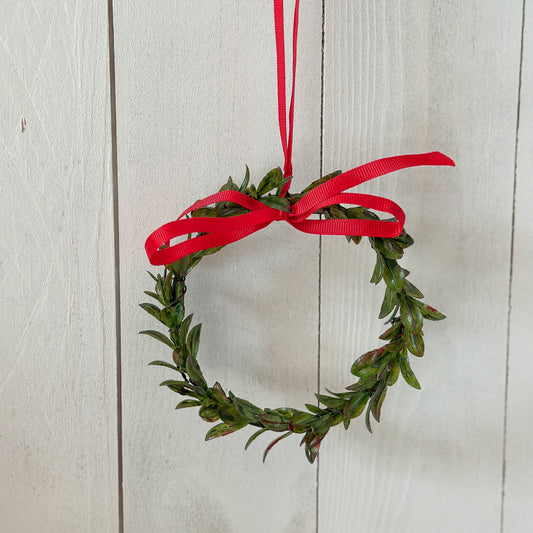 Kranz Blätter "Mini Mistel" mit roter Schleife grün 12cm - Wohnen auf dem Land