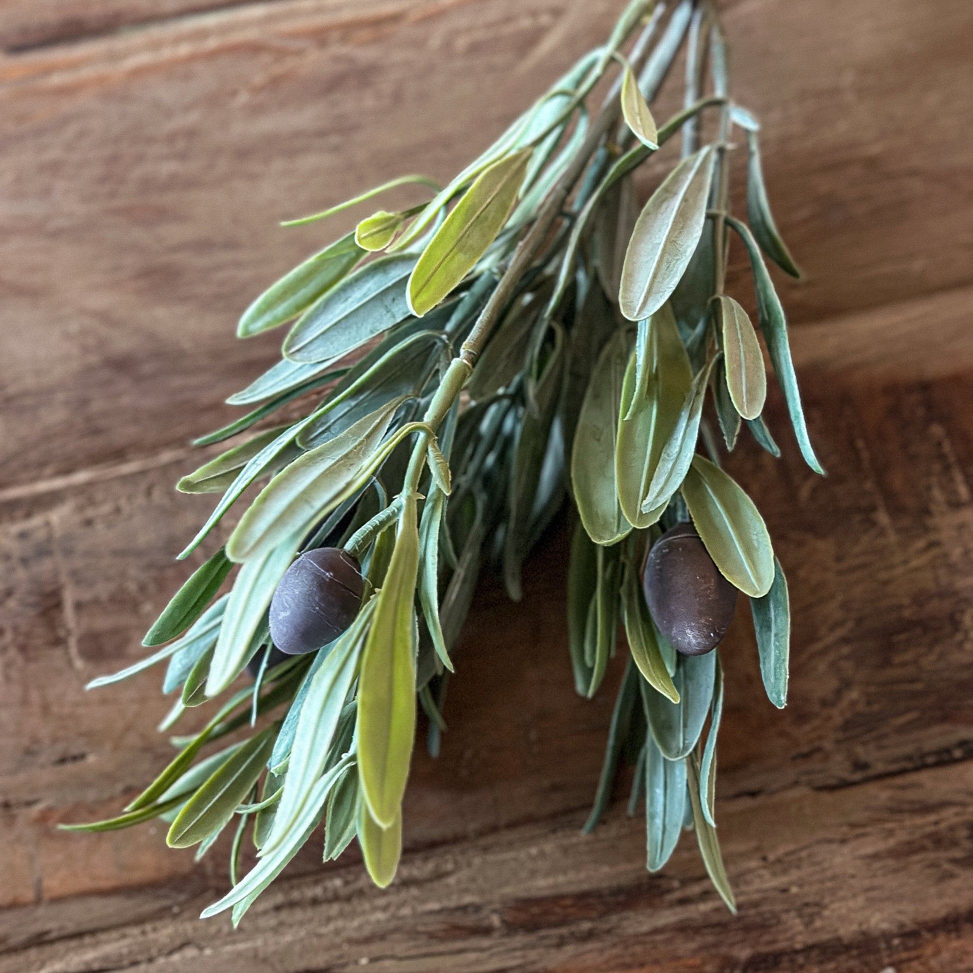 Oliven Zweig Pick "Bella Oliva" mit Früchten Grün 30cm - Wohnen auf dem Land