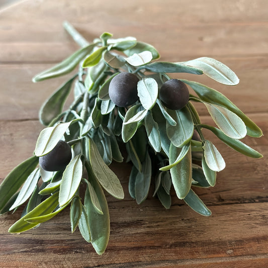 Oliven Zweig Pick "Bella Oliva" mit Früchten Grün 30cm - Wohnen auf dem Land