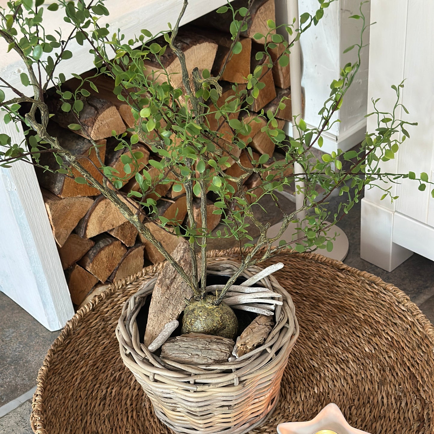 Künstliche Mühlenbeckia im Topf "Maiden Hair" 66cm, grüne Pflanze von Wohnen auf dem Land, realistisch aussehende Dekorationspflanze