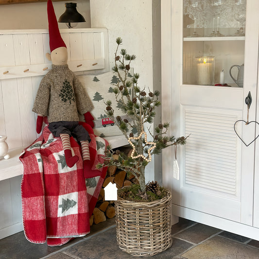 Zeder mit Zapfen "Cedar Grace" Grün 91cm - Wohnen auf dem Land