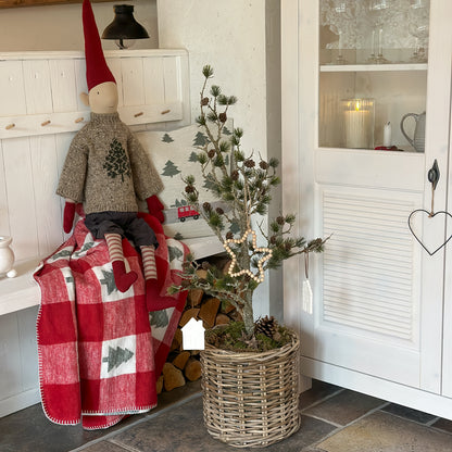 Zeder mit Zapfen "Cedar Grace" Grün 91cm - Wohnen auf dem Land