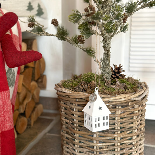 Zeder mit Zapfen "Cedar Grace" Grün 91cm - Wohnen auf dem Land