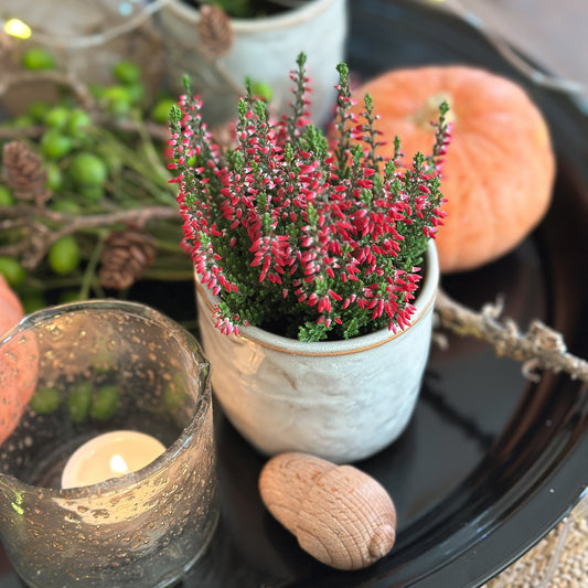 Blumenpot Übertopf "Ecru" Keramik creme weiß 8cm - Wohnen auf dem Land