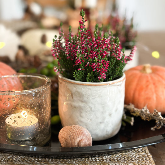 Blumenpot Übertopf "Ecru" Keramik creme weiß 8cm - Wohnen auf dem Land