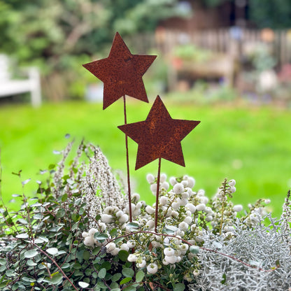 Pflanzenstecker "Stern" Metall Rost 35cm - Wohnen auf dem Land