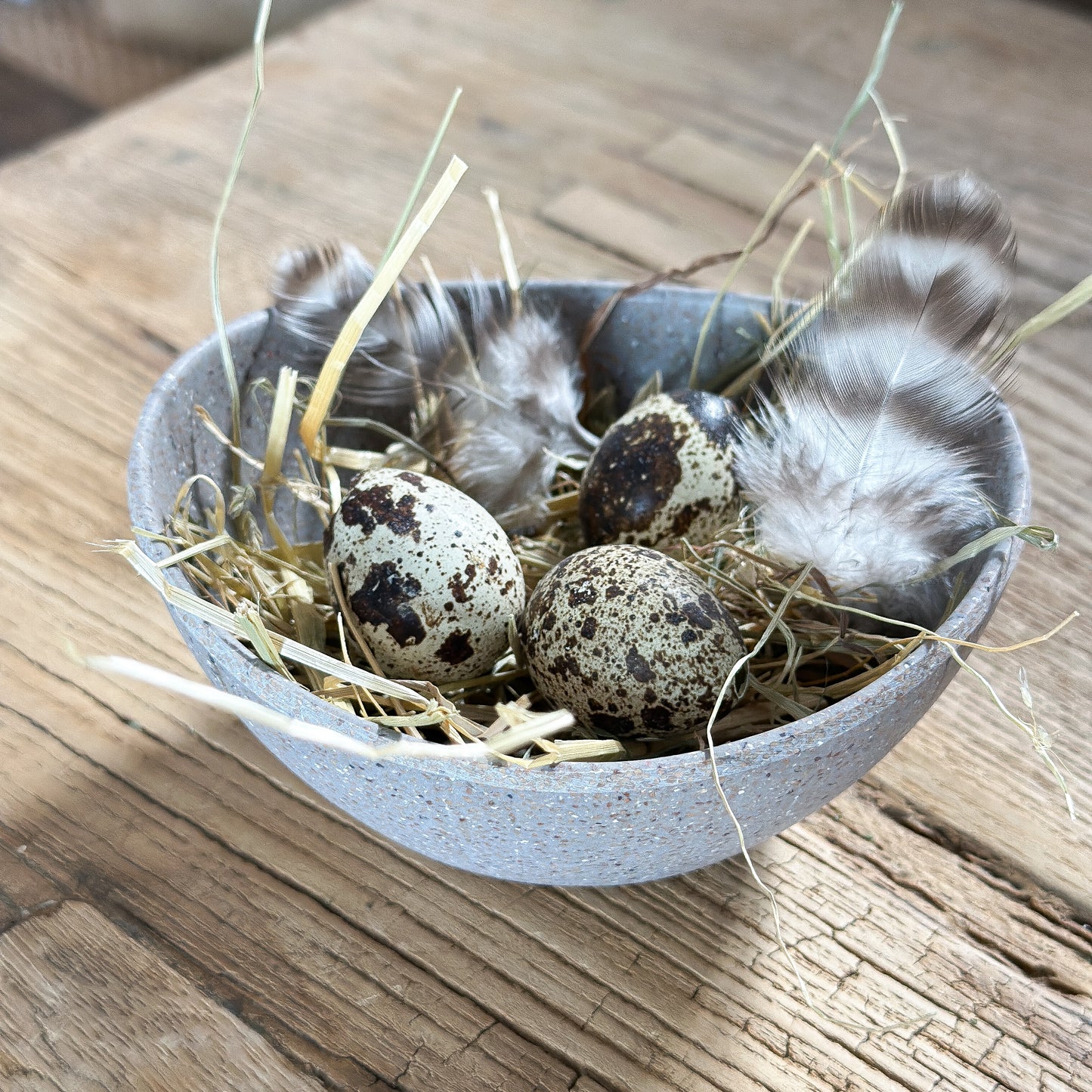 Schale Bowl "Nature Stone" Kunststoff Grau Braun 12cm - Wohnen auf dem Land