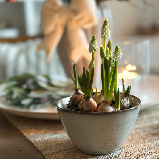 Schale Mini Bowl "Tabo" Keramik Grau 11cm - Wohnen auf dem Land