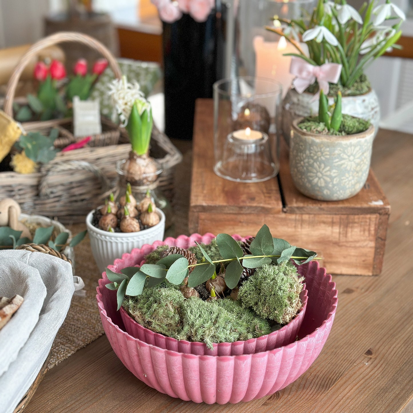 Große pinke Kunststoff-Schale „Talinn“ von Wohnen auf dem Land, ideal als Pflanzgefäß in zwei Größen.
