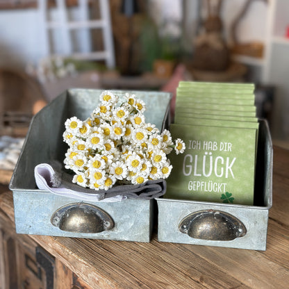 Schubladen Pflanzbehälter Organizer "Factory" Eisen Zink 2er Set - Wohnen auf dem Land