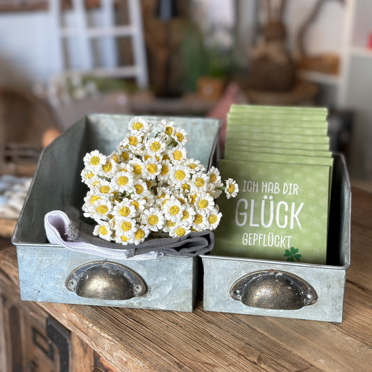 Schubladen Pflanzbehälter Organizer "Factory" Eisen Zink 2er Set - Wohnen auf dem Land