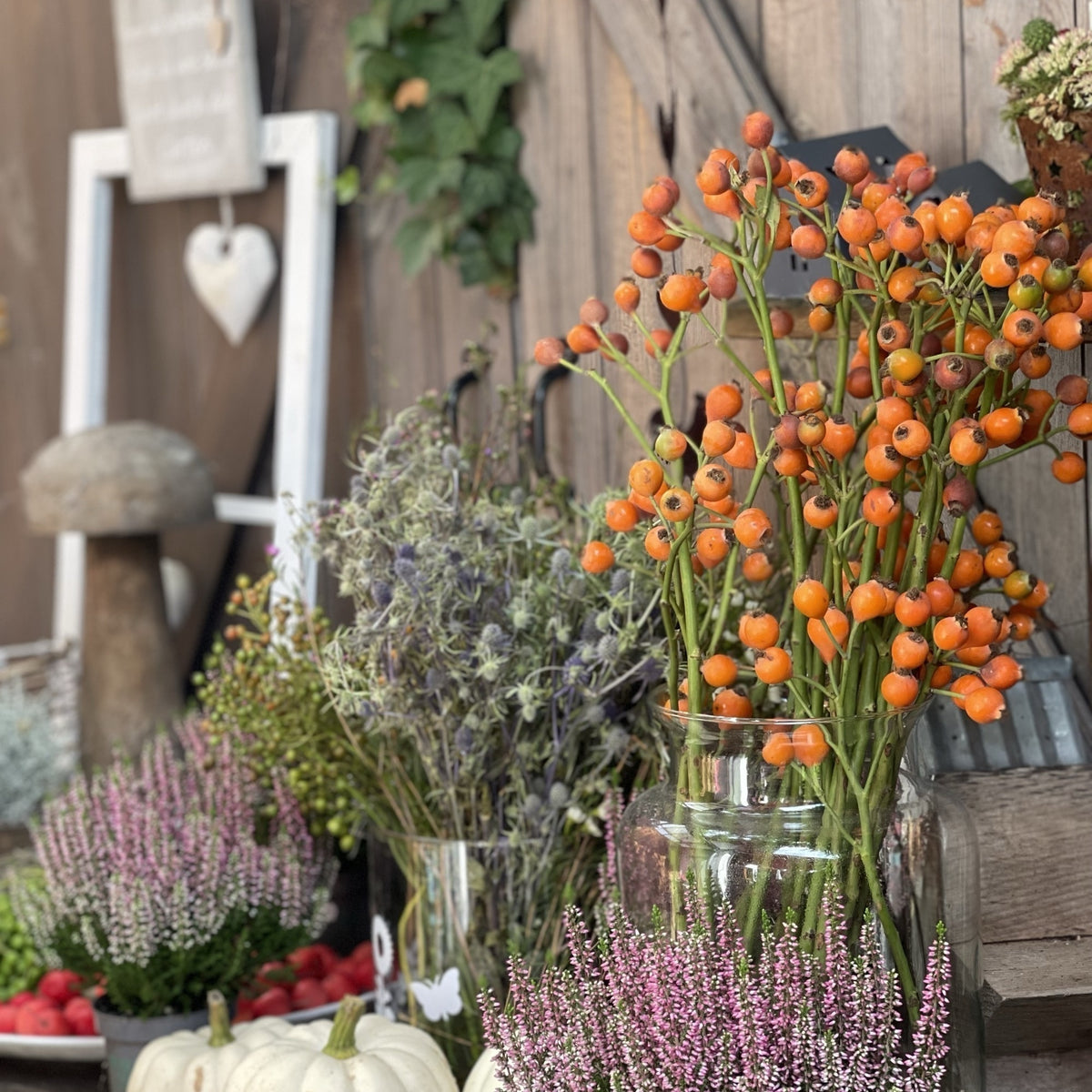 Heide Hagebutten und weitere herbstliche Materialien