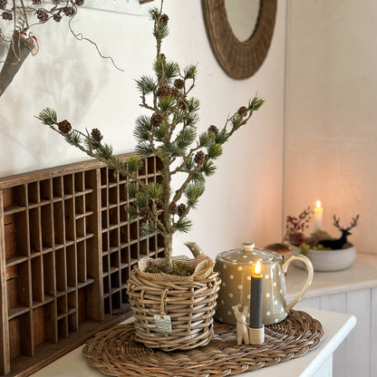 Zeder „Cedar Haven“ künstlich mit Zapfen Kunststoff Grün 60cm im Topf – Originalfoto im Landhausambiente. Lieferung im Kunststofftopf, ohne den abgebildeten DryPot-Übertopf.