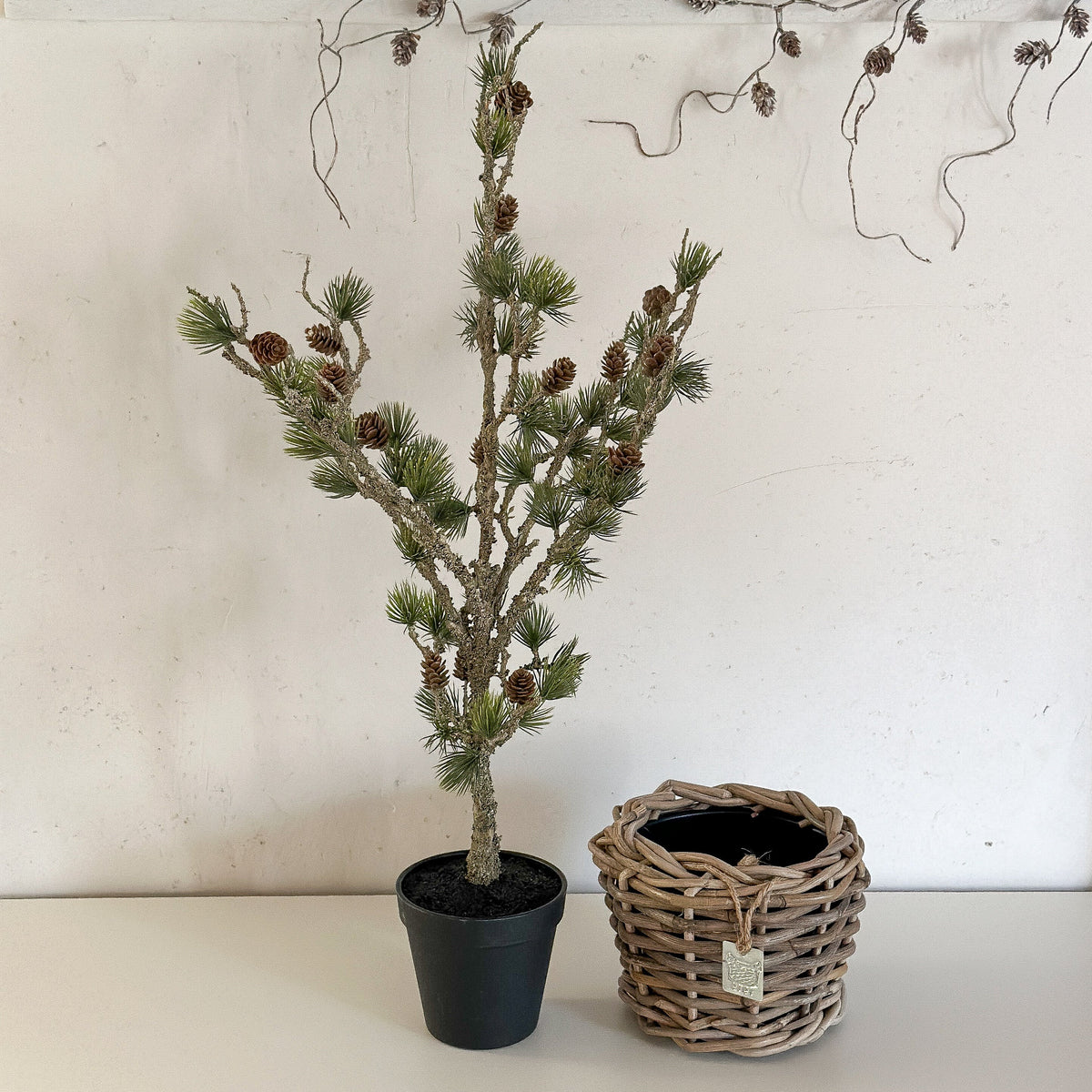 Zeder „Cedar Haven“ künstlich mit Zapfen Kunststoff Grün 60cm im Topf – Originalfoto mit separatem DryPot. Lieferung im Kunststofftopf, ohne den abgebildeten DryPot-Übertopf.