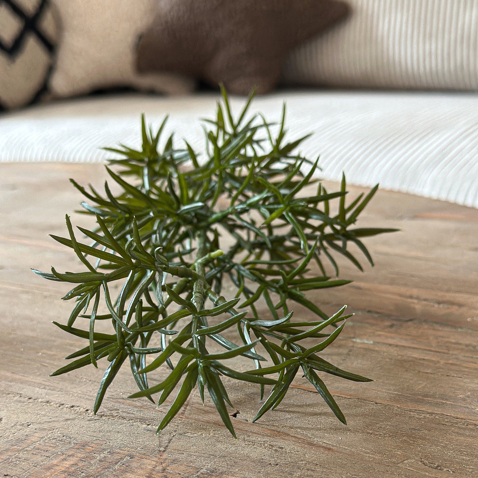 Zweig Asparagus künstlich Grün
